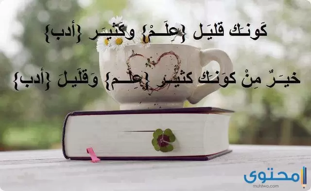 بحث عن الذوق العام 
