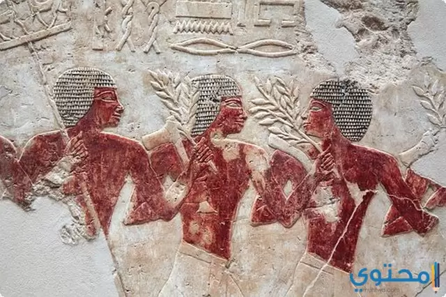 بحث عن السياحة المصرية
