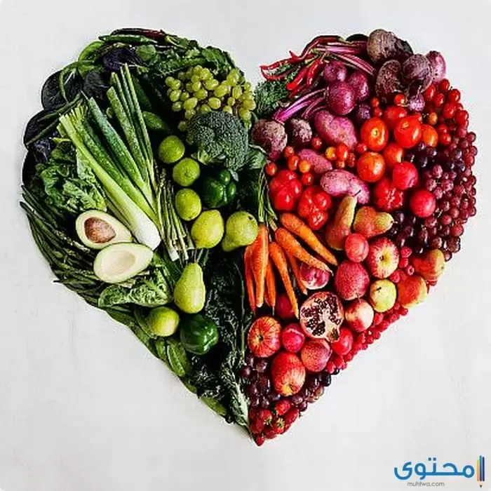 بحث عن الغذاء3