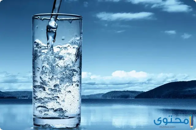 بحث عن المحافظة على الماء