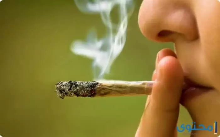 بحث عن المخدرات وأضرارها