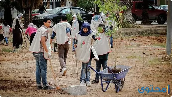 بحث عن تنظيف الحي1