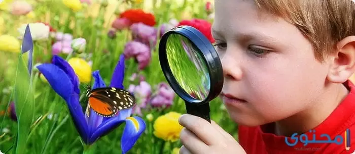 بحث عن تنمية مهارات الأطفال الموهوبين