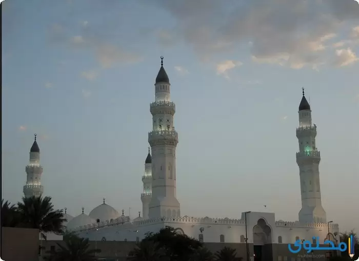 عن حقوق المساجد2