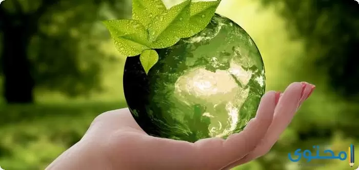 بحث عن دور الاسلام في الحفاظ على البيئة