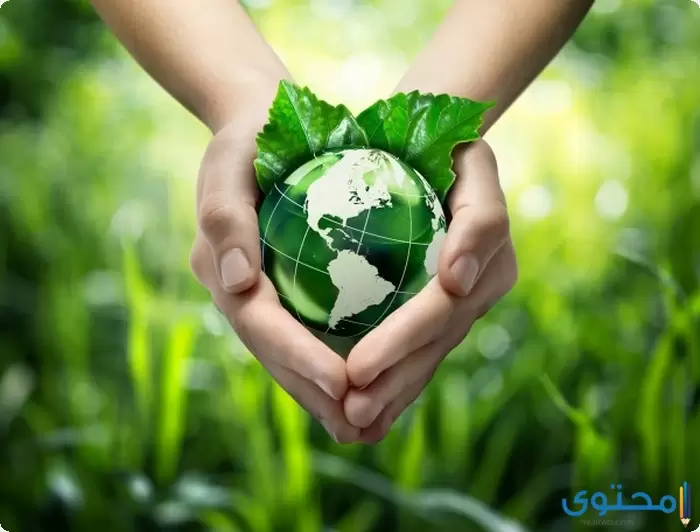 بحث عن دور الاسلام في الحفاظ على البيئة4