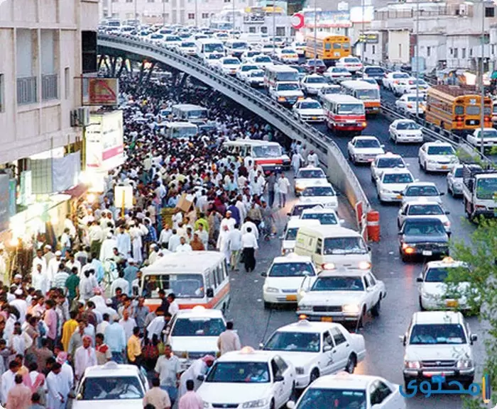 بحث عن سلبيات وإيجابيات الشارع المصري3