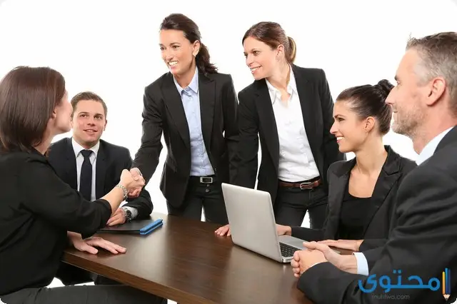 بحث عن سلوكيات وقيم العمل