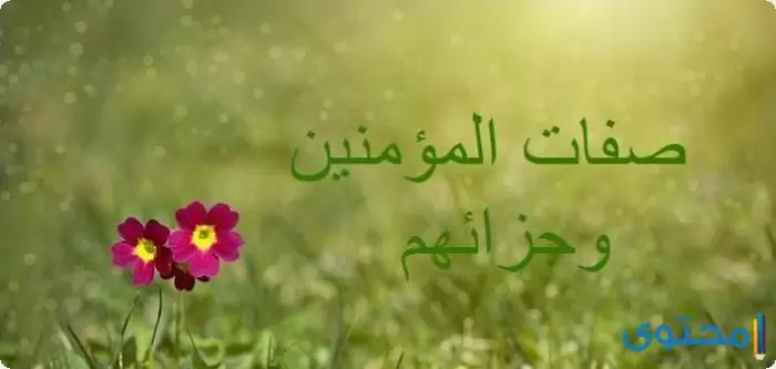 بحث عن صفات المؤمنين في القراَن