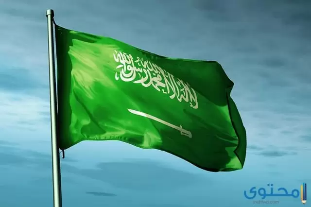 عالم العمل في السعودية