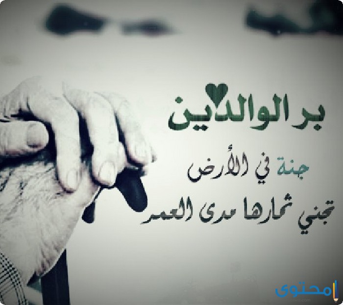 حكم وامثال عن بر الوالدين