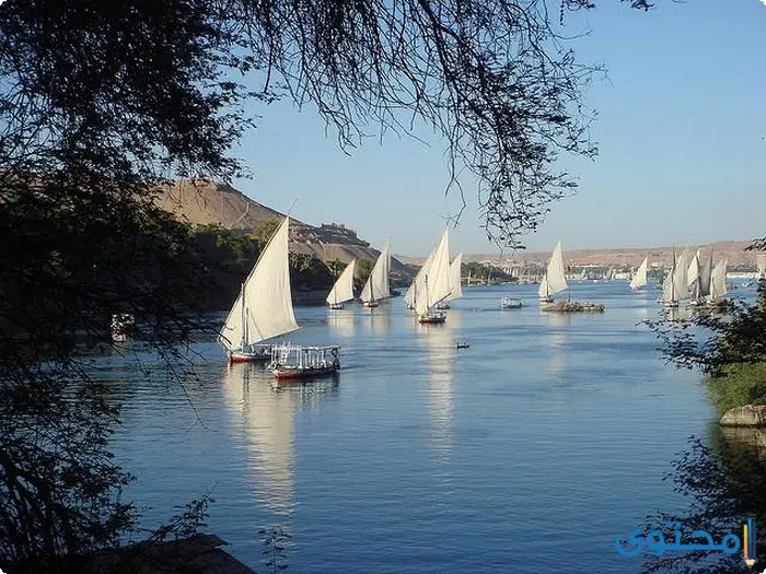 بحث عن نهر النيل