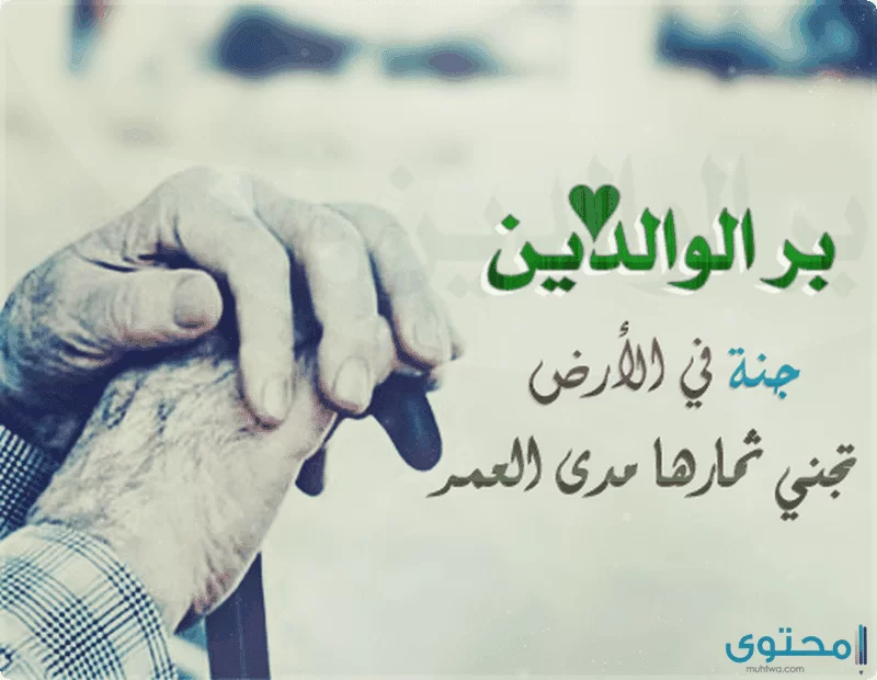 بر الوالدين