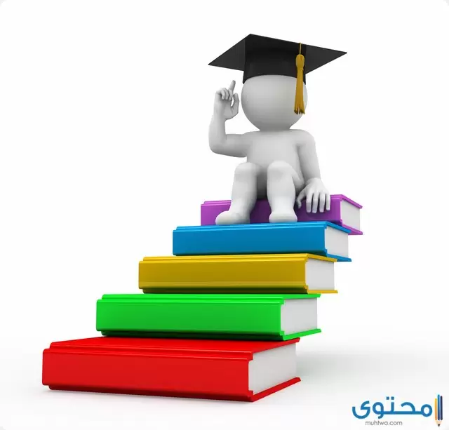 بكالوريوس وليسانس