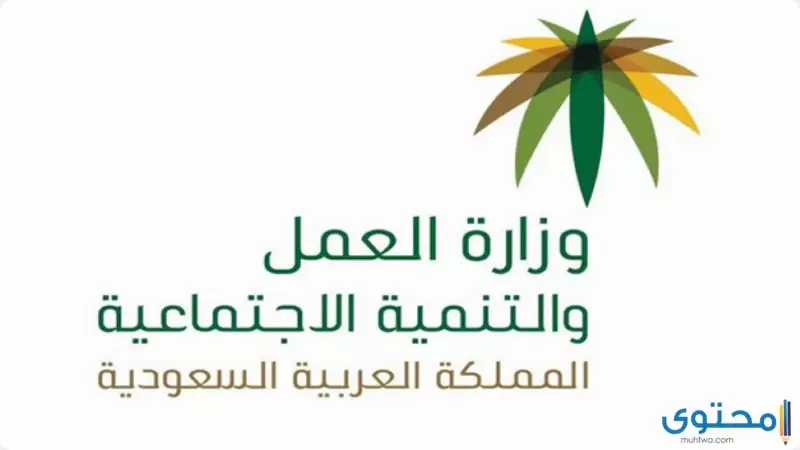 بلاغ الهروب