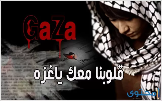 بوستات عن غزة