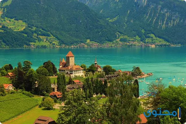 تأشيرة سويسرا السياحية1
