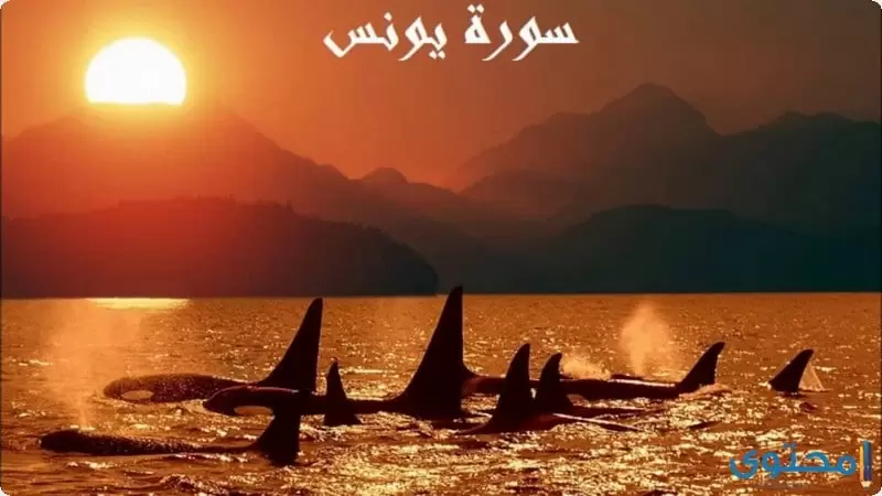 سورة يونس