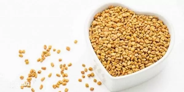 تجربتي مع الحلبة لإدرار الحليب