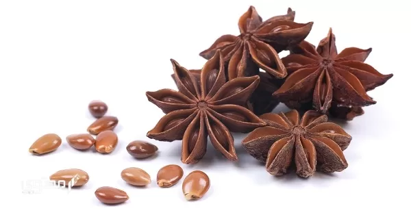 تجربتي مع اليانسون النجمي وفوائده