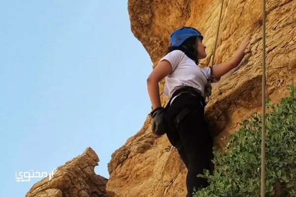 تجربتي مع دهون الارداف