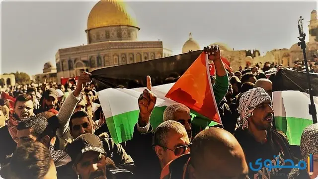 تحرير فلسطين في المنام