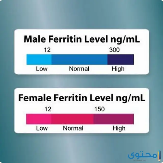 تحليل ferritin