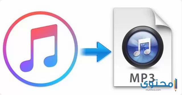 الفيديو الى صوت MP33
