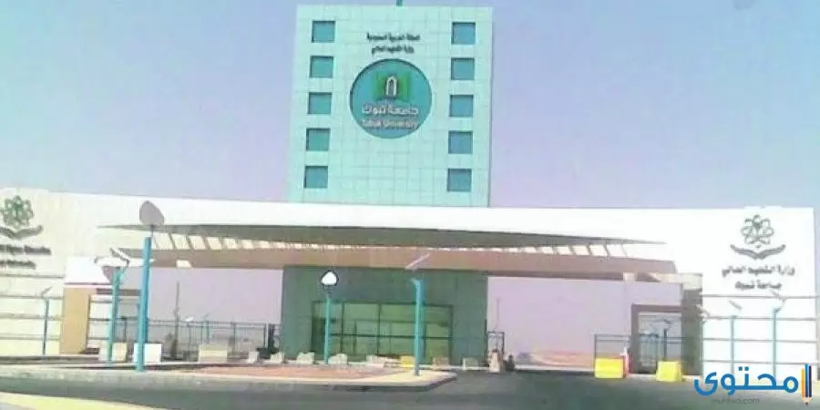 جميع تخصصات جامعة تبوك ونسب القبول