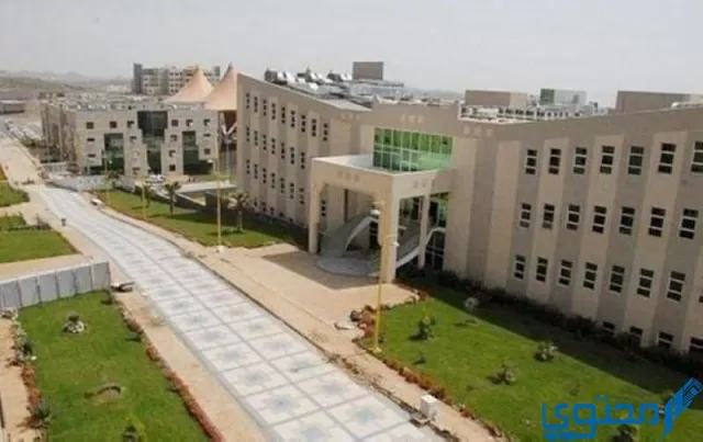 تخصصات جامعة جدة 1444.