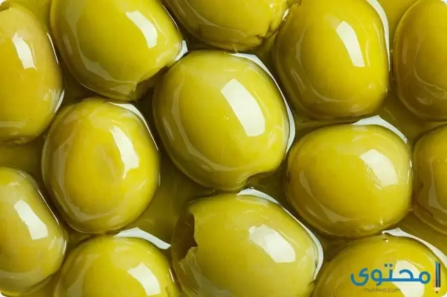 الزيتون الاخضر 13