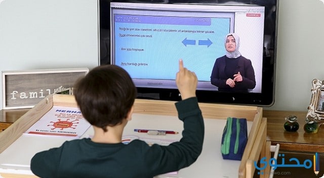 العمل الحر من خلال تدريس اللغة العربية عبر الانترنت