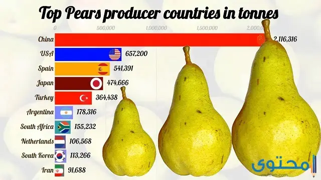 ترتيب أكثر الدول العربية إنتاجًا للكمثرى
