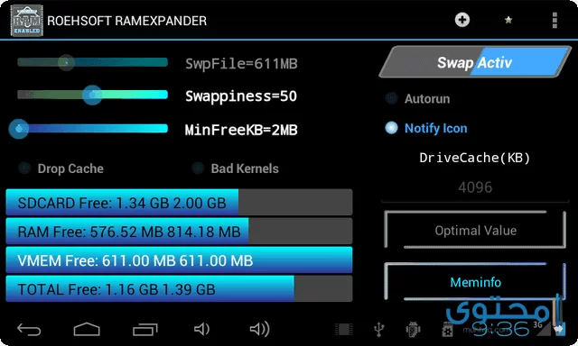 تطبيق Roehsoft RAM