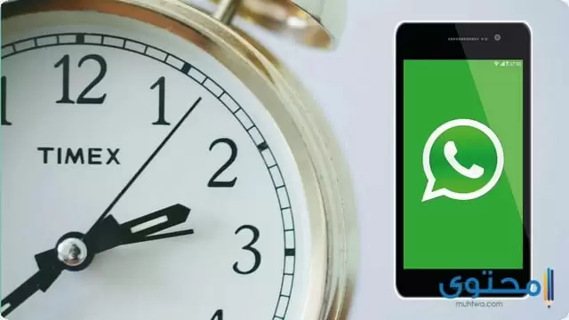 تطبيق Scheduler for WhatsApp3