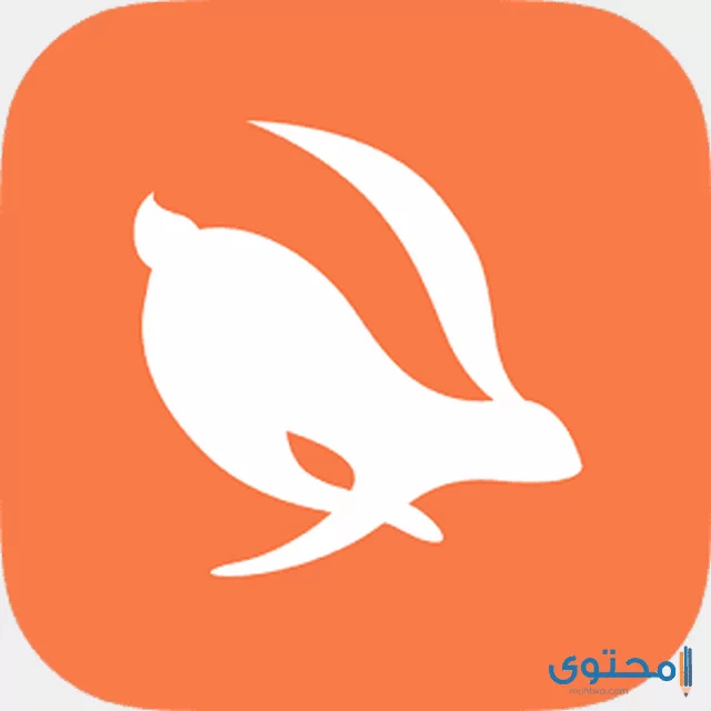 تطبيق Turbo VPN