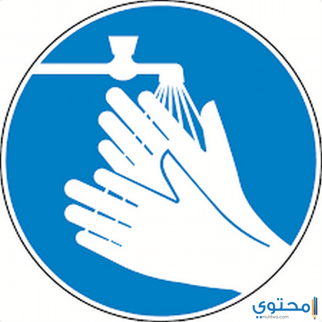 تعبير عن أهمية النظافة لصحة الإنسان 1 تعبير عن أهمية النظافة