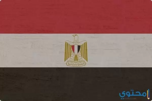 تعبير عن حب الوطن