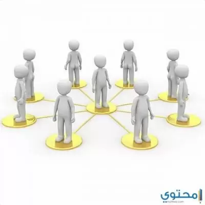 تعبير كامل عن التعاون