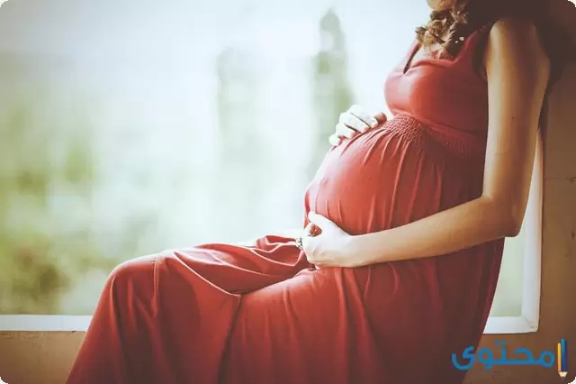 تفسير رؤية الحمل في المنام لابن سيرين والنابلسي