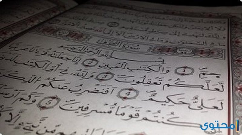 فضل تلاوة سورة الزخرف و سور الحواميم 1 فضل تلاوة سورة الزخرف