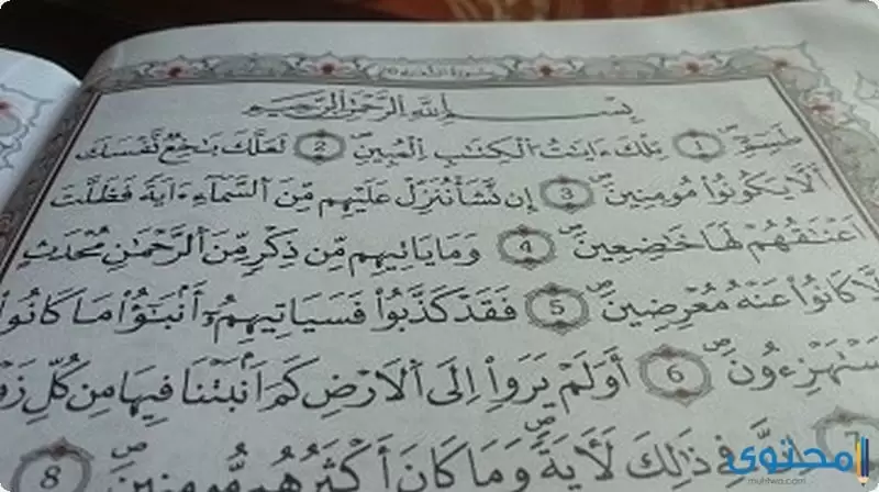 سورة الشعراء