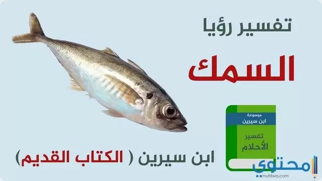 تفسير صيد السمك في المنام بالتفاصيل