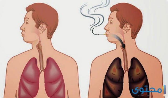طريقة تنظيف الرئة من التدخين