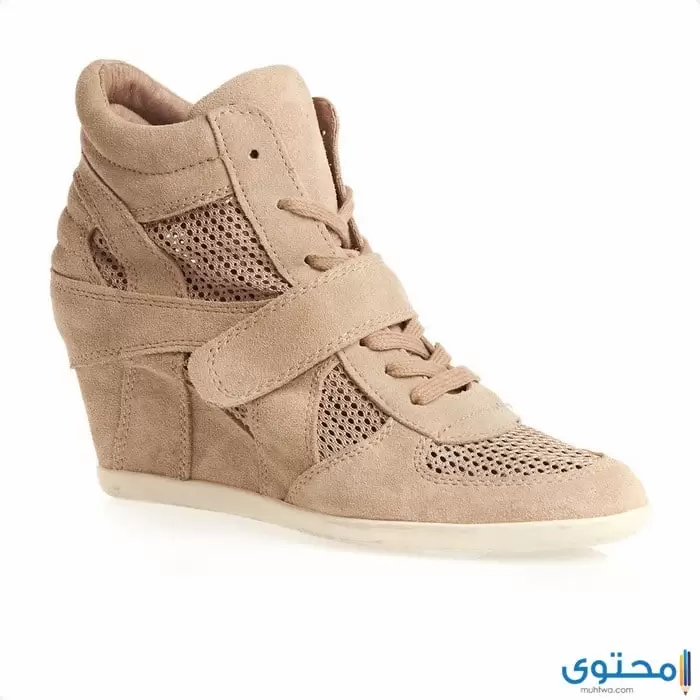 تنظيف حذاء الشامواه