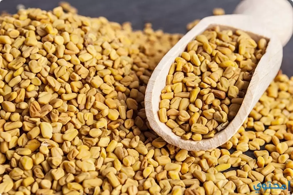  خلطة الحلبة مع اللبن الرائب