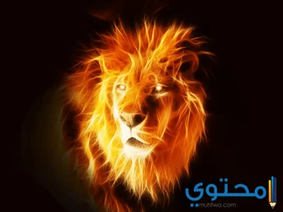 توقعات برج الأسد