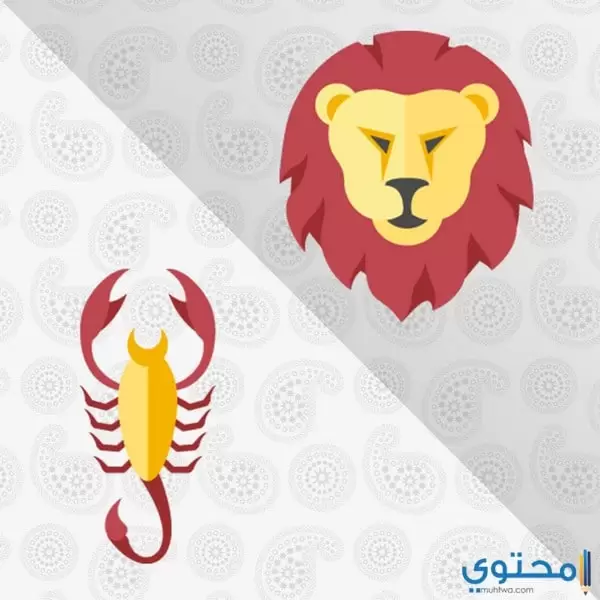 توافق برج الاسد والعقرب في العمل