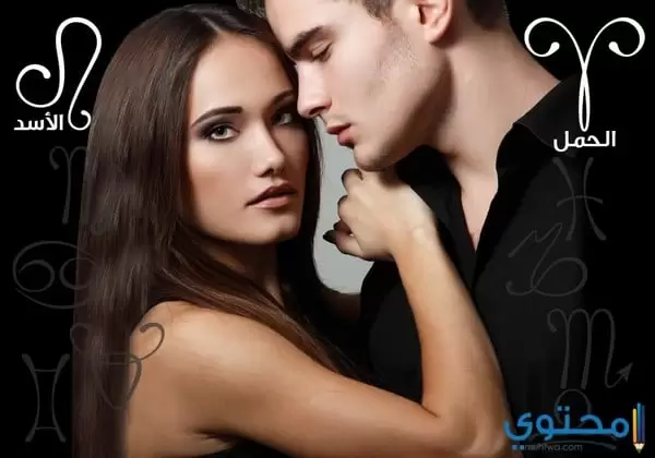 تناسب برج الأسد مع برج الحمل