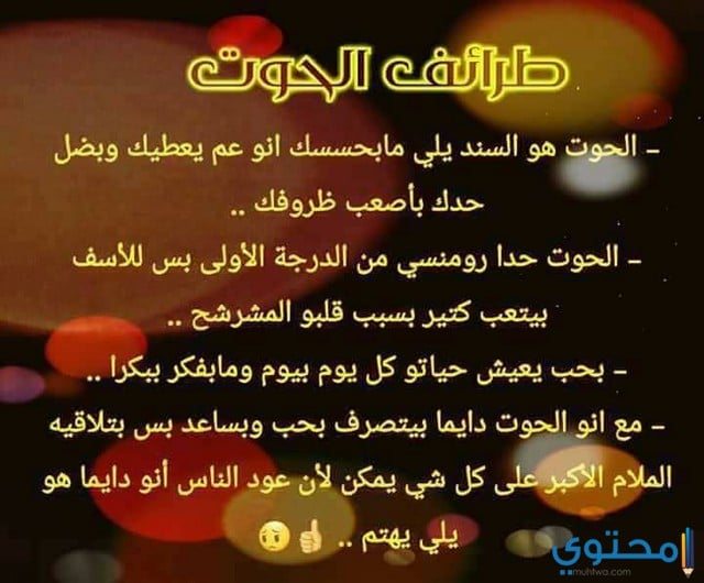 توقعات-مايك-فغالي3.jpg
